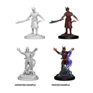 D&D Nolzur's Marvelous Miniatures: Male Tiefling Warlock (2 figurki)