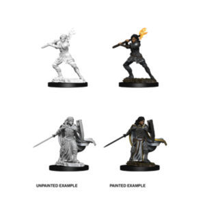 D&D Nolzur's Marvelous Miniatures: Female Human Paladin (2 figurki)