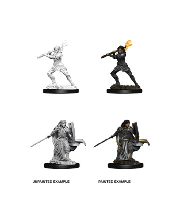 D&D Nolzur's Marvelous Miniatures: Female Human Paladin (2 figurki)