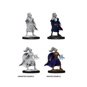 D&D Nolzur's Marvelous Miniatures: Female Human Sorcerer (2 figurki)