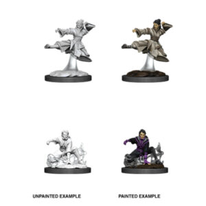D&D Nolzur's Marvelous Miniatures: Female Human Monk V2 (2 figurki)