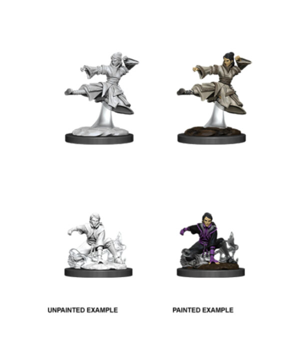 D&D Nolzur's Marvelous Miniatures: Female Human Monk V2 (2 figurki)