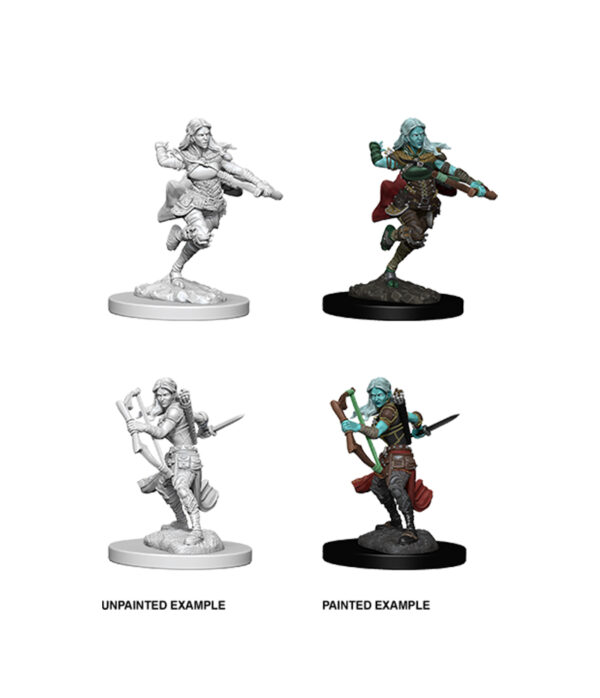 D&D Nolzur's Marvelous Miniatures: Female Air Genasi Rogue (2 figurki)