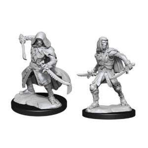 D&D Nolzur's Marvelous Miniatures W14: Warforged Rogue (2 figurki)