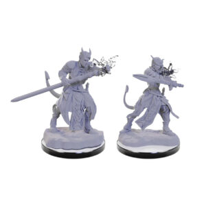 D&D Nolzur's Marvelous Miniatures W22: Tiefling Warlocks (2 figurki)