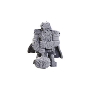Deep Cuts Pathfinder Battles W23: Male Dwarf Champion High-Level (1 figurka)