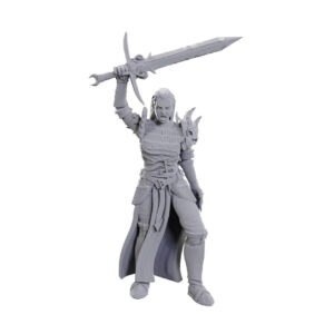 D&D Nolzur's Marvelous Miniatures W25: Blackguard (1 figurka)