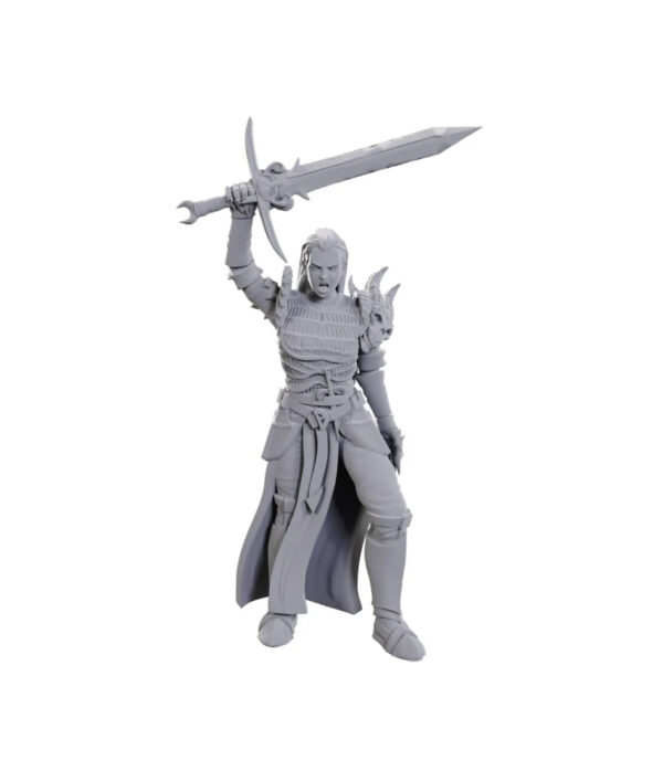 D&D Nolzur's Marvelous Miniatures W25: Blackguard (1 figurka)